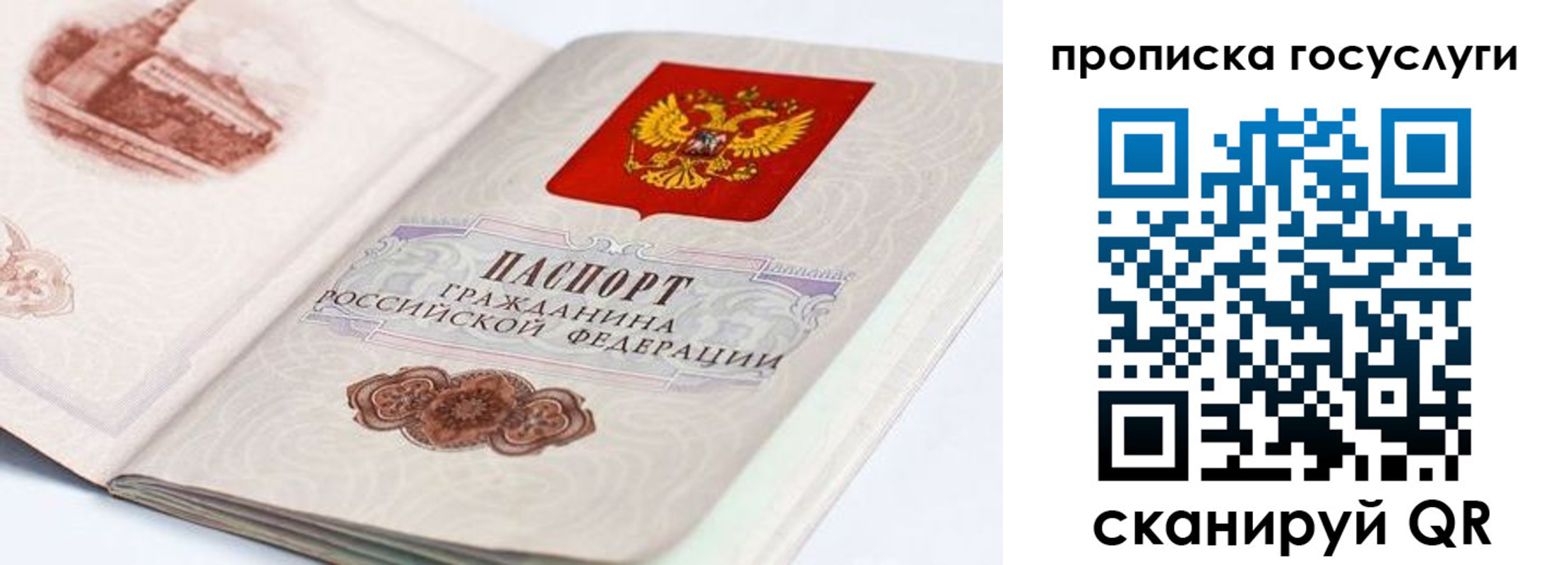 прописка гарантия в Невельске
